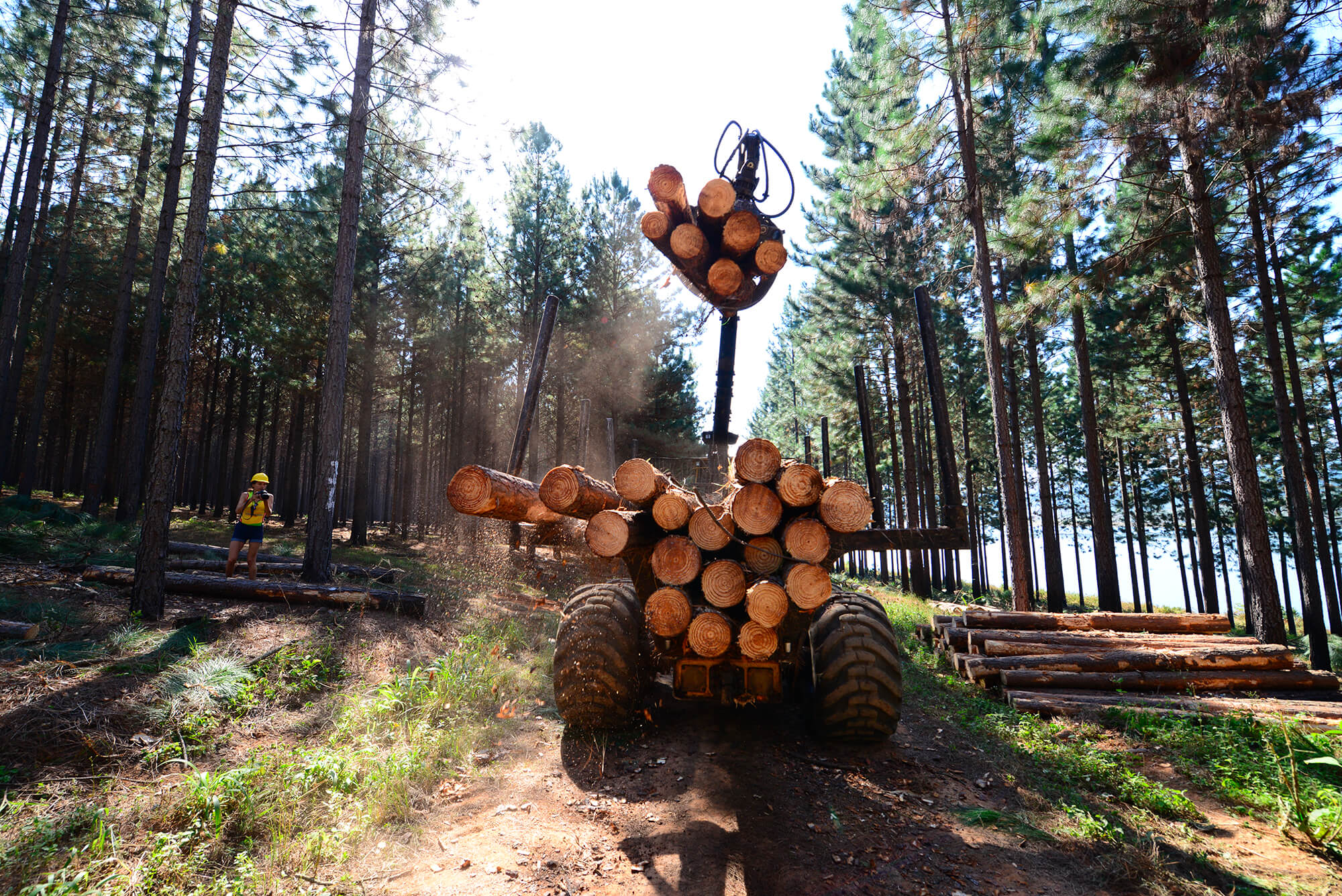 Brandon Barnard Photography South African Forestry 0570