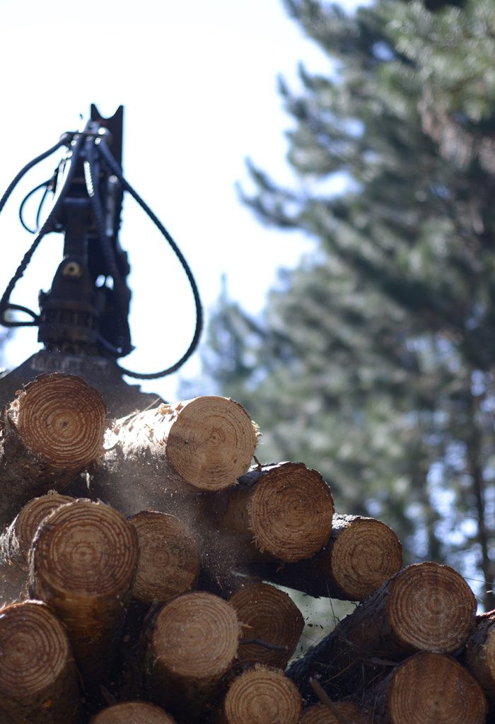 Brandon-Barnard-Photography-South-African-Forestry-3020